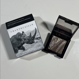 Chantecaille Luminescent Silver Eye Shade